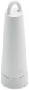 2-ühes laualamp ja taskulamp Torchlamp