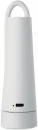 2-ühes laualamp ja taskulamp Torchlamp