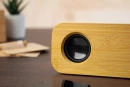 Bluetooth kõlar Herkool