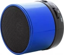 Bluetooth kõlar Martins