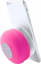 Bluetooth kõlar Rariax