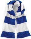 Stadium Scarf