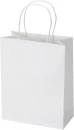 Jõupaberist kinkekott sangadega 18x9 x23 cm