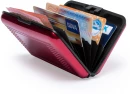 Rainol credit card holder