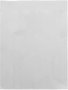 Käepaelad Wristvek tyvek (10 tk)