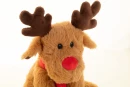 Kaisuloom Nordeer RPET