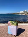 Kohvri ümbris