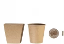 Kuuse kasvatamise komplekt MerryGrow