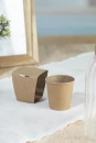 Kuuse kasvatamise komplekt MerryGrow