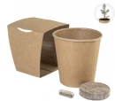 Kuuse kasvatamise komplekt MerryGrow