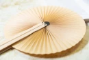 Lehvik Lolli