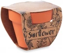 Lillepott SUNFLOWER