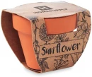 Lillepott SUNFLOWER