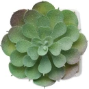 Mini kunsttaim potis Artieche