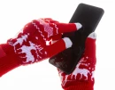 Puuteekraanikindad Skandihand Christmas