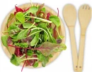 Salatitarvikute komplekt Argulls