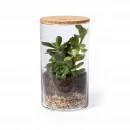 Terraarium Anymak