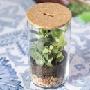 Terraarium Anymak