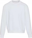 Unisex pusa Boris