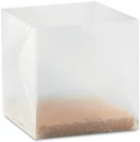 Ürtide kasvatamise komplekt MINT