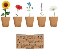 Lillede kasvatamise komplekt FLOWERS