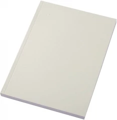 Märkmik Scribe Plus A5