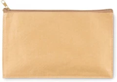 Pinal FLAT CASE