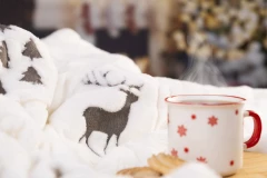 Pleed Arsunda RPET Christmas