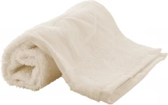 Rätik Terry S