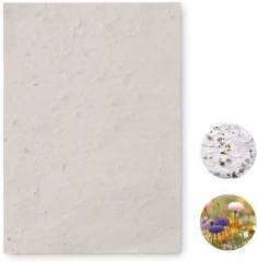 A6 wildflower seed paper sheet