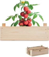 Tomati kasvatamise komplekt TOMATO