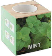 Ürdipott MENTA