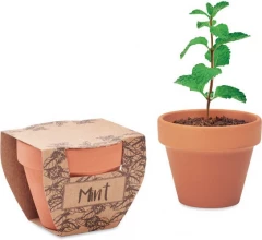 Ürdipott Mint Pot