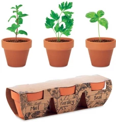 Ürdipottide komplekt FLOWERPOT