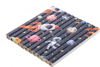 12-osaline värvipliiatsikomplekt Printcil