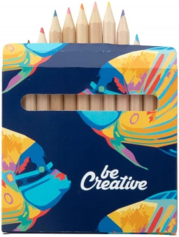 12 osaline Värvipliiatsite komplekt Penxil