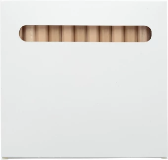 12 osaline Värvipliiatsite komplekt Penxil