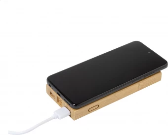 Akupank Wooster 6000mAh