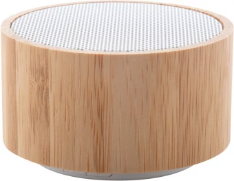 Bluetooth kõlar Denzel