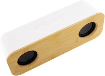 Bluetooth kõlar Herkool