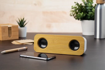 Bluetooth kõlar Herkool
