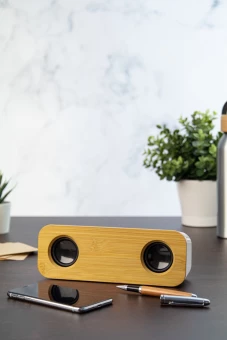 Bluetooth kõlar Herkool