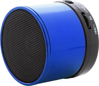 Bluetooth kõlar Martins