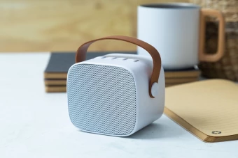 Bluetooth kõlar Rabeat RABS