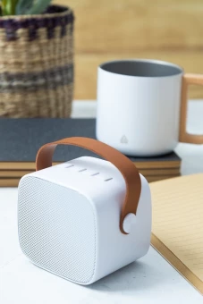 Bluetooth kõlar Rabeat RABS