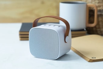 Bluetooth kõlar Rabeat RABS