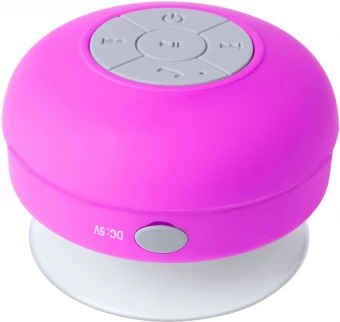 Bluetooth kõlar Rariax