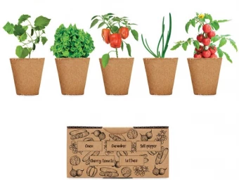 Eerinevate taimede kasvatamise komplekt SALAD