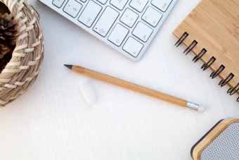 Igavene pliiats Bovoid