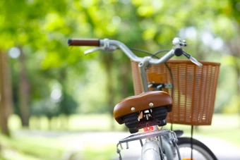 Jalgratta tuled Bowel